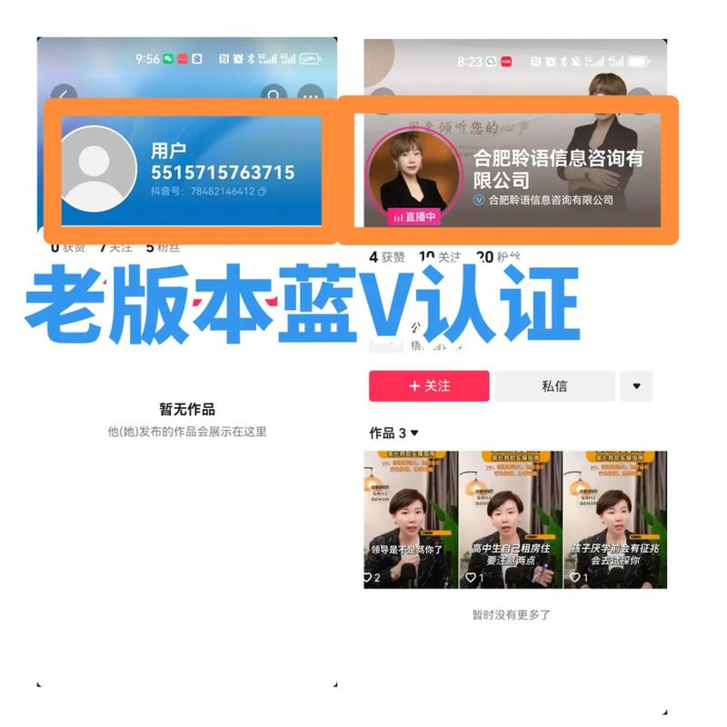 蓝v代,从新手到高手,如何在抖音蓝v平台赚取高薪
