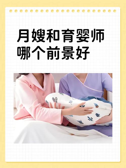 南宁月嫂建站指南,从SEO到数据分析,打造专业月嫂网站