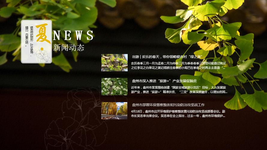 贵州汽车网站建设指南