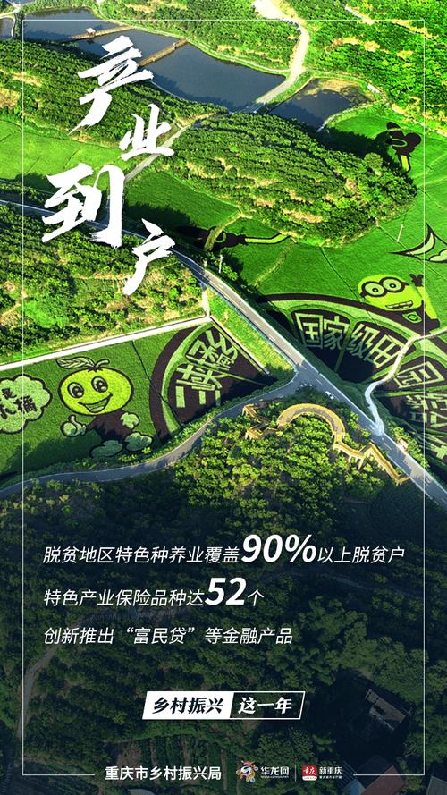 忠县网络科技公司，助力乡村振兴的创新平台