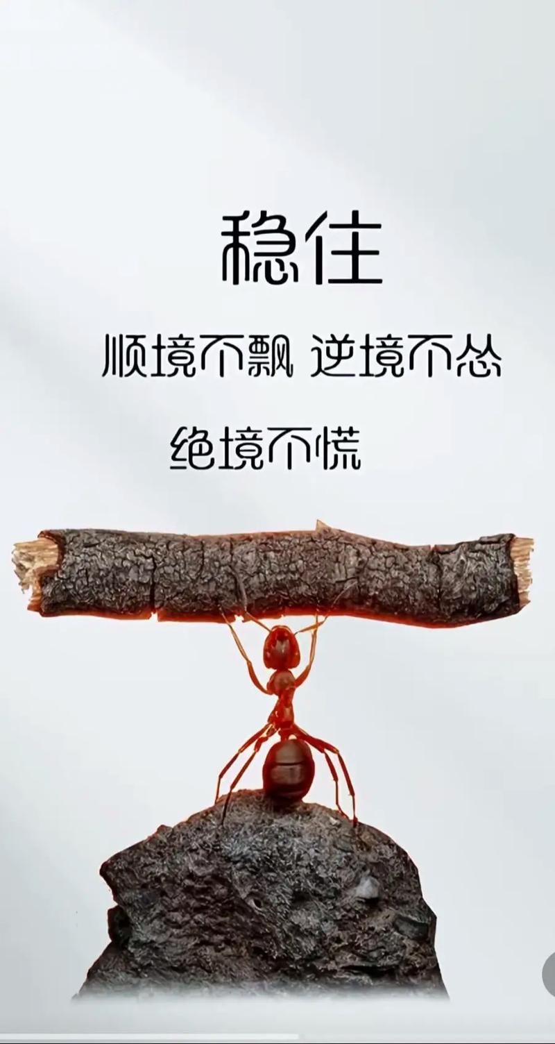 学会记录，让抖音更强大！