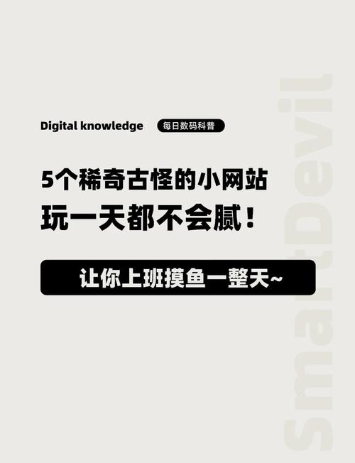 什么是玩网刷dy？