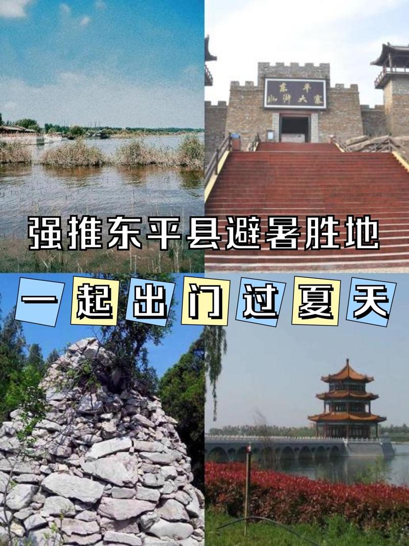 东平网络推荐