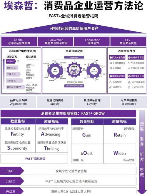 构建高效网站,从目标受众到核心功能的全维度规划