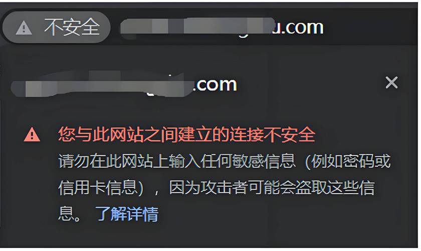 从零开始构建安全网站,构建一个可靠的安全网站,让你的网站不被攻击