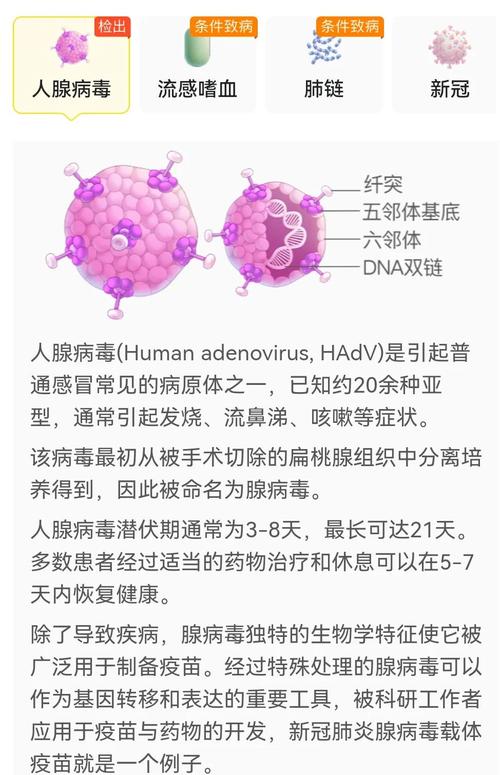 电脑体检指南,全面了解病毒风险