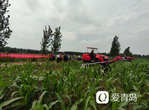 即墨网络推广哪家专业?专业领域的权威机构