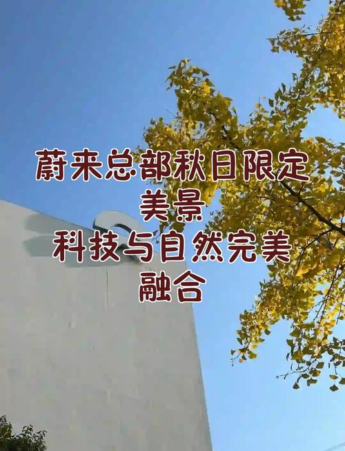 佛山网站优化,自然与科技的完美融合