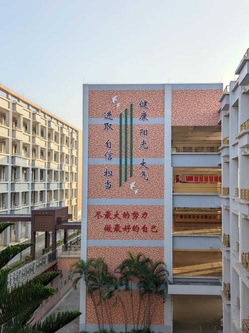 大众识别，东莞虎门网络公司