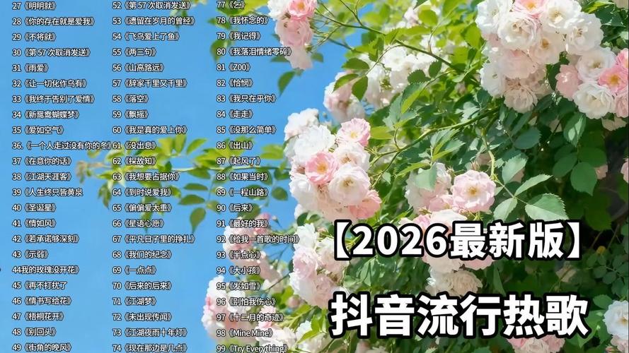 音乐播放量，如何在抖音找到性价比高的歌曲