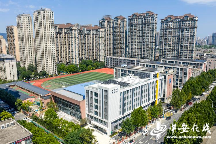 言论贴心的城市,合肥网站建设的贴心服务