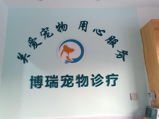 庆融网广告公司，选择合适的网络广告公司要从哪里开始？