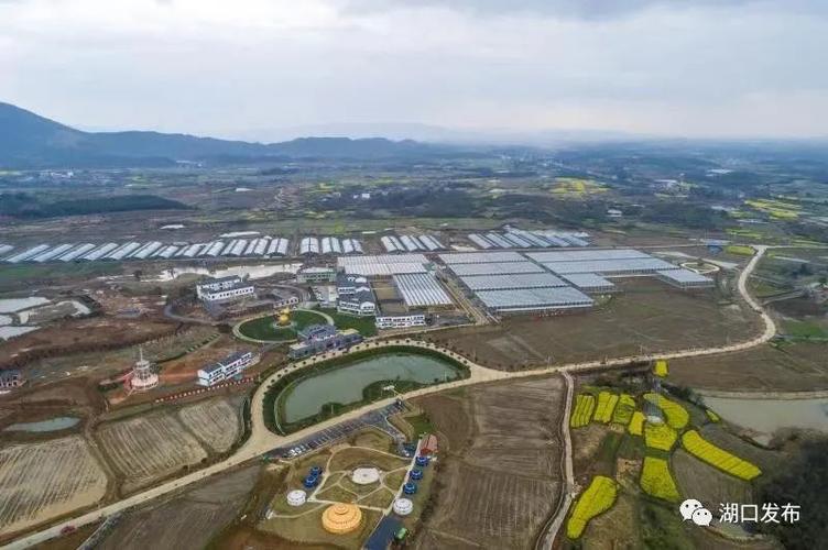 如何在鄱阳湖建设高效网站，从步骤到优化