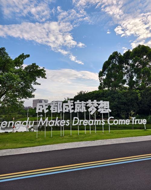 网络推广,成都市的生存之道
