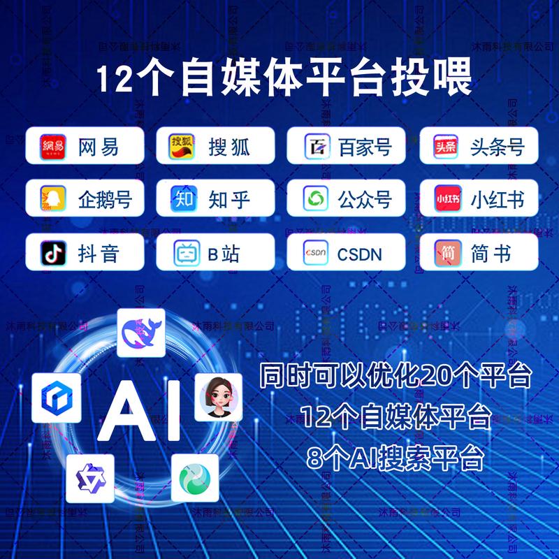网络优化排名,从基础到巅峰