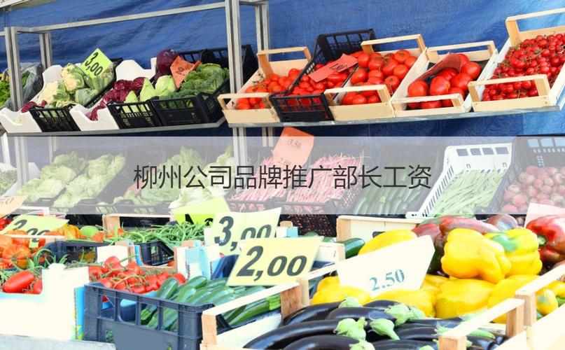 柳州网络推广哪里有?