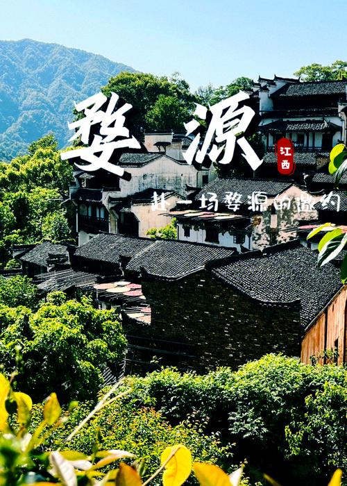 婺源网络推广，提升自己，成就自己