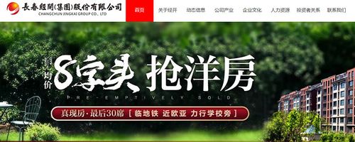 长春网络优化行业,1强公司分析与市场前景