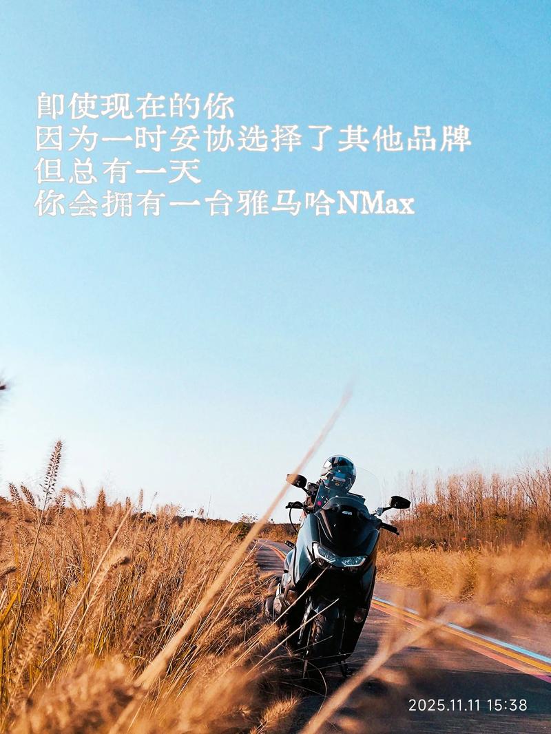 一、品牌选择的重要性
