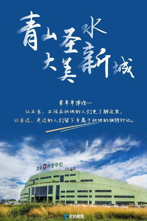 呼和浩特网络服务指南,让生活更便捷