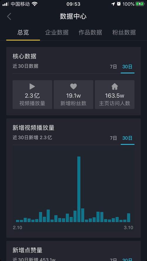 如何通过优化视频内容提升播放量和点赞率—从KSS赞入手