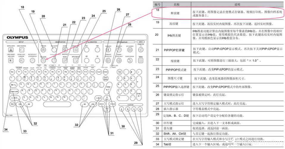 神马 platform free:操作指南与快笔粉业务分析