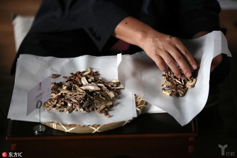 从中医到网络时代的转型,居易国际网络的未来展望