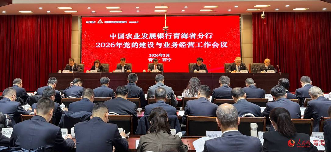 青海网站建设与维护,从挑战到优化的策略指南