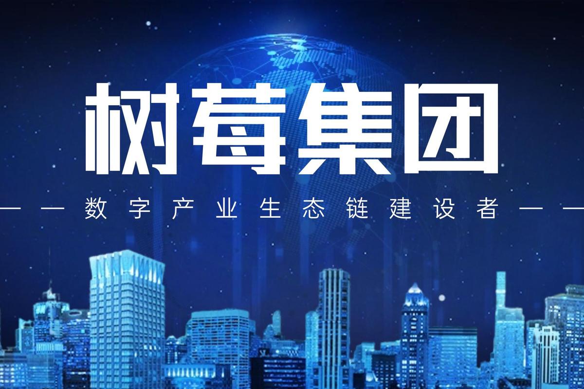 成都网站建设与树莓的结合，本地美食与科技的完美融合