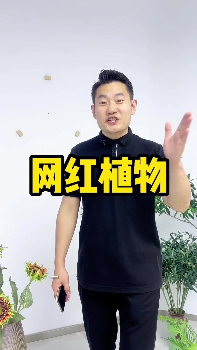 抖音秒单秒过,快得让你怀疑自己!