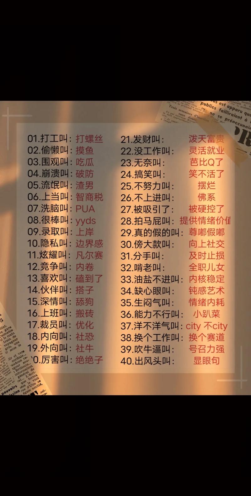 网络用语,语言的另一种生命