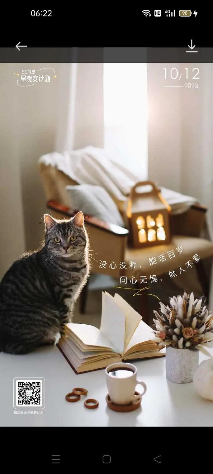 别再被自动播放的烦恼困扰了!抖音自动播放的真相及解决方法
