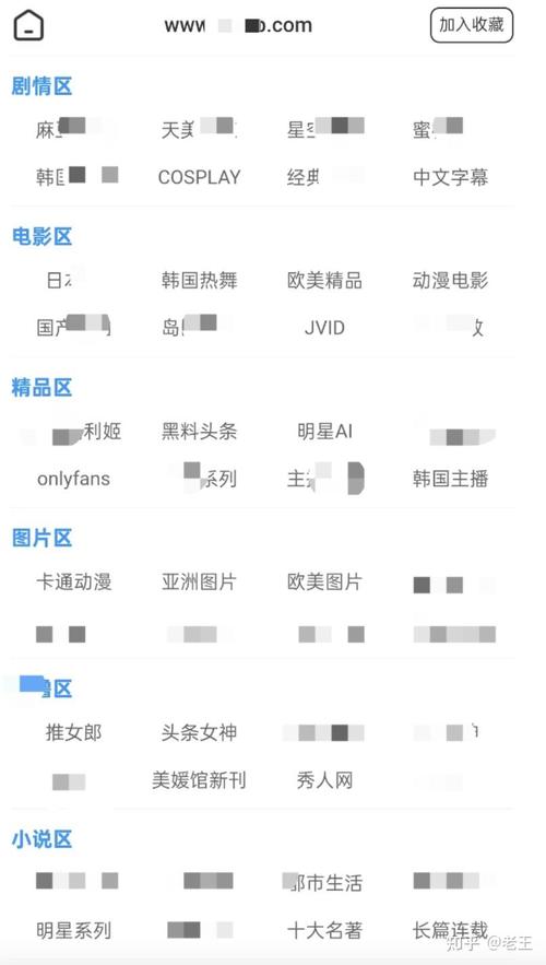 什么是网站？