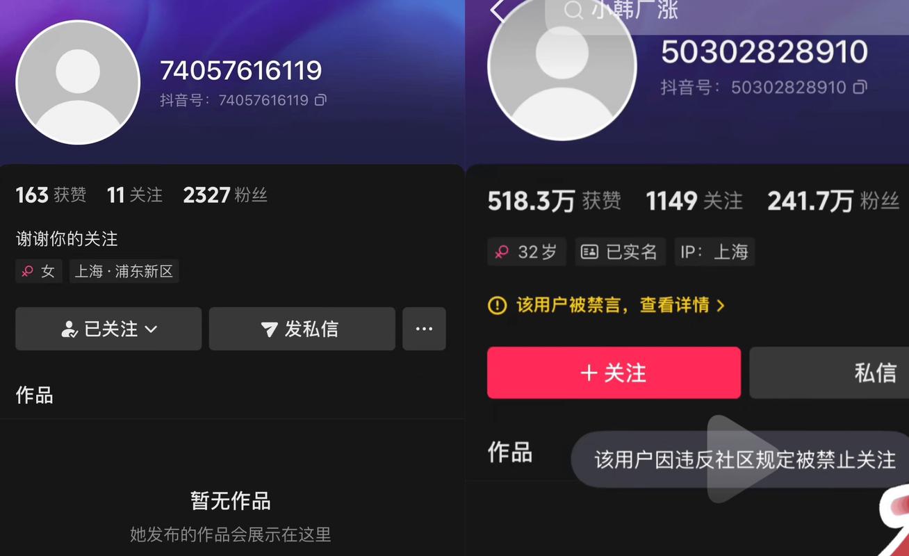 抖音刷赞任务平台与墨言抖音业务，你的选择？