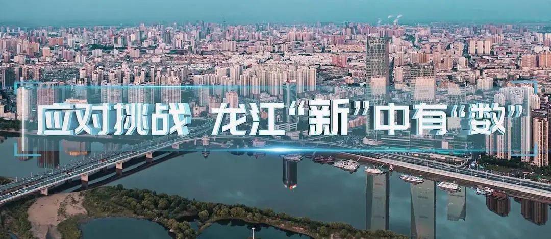 哈尔滨,数字城市的实践与启示