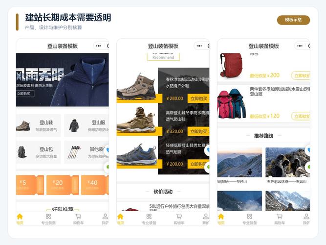 建站费用分析，不同网站类型的选择指南