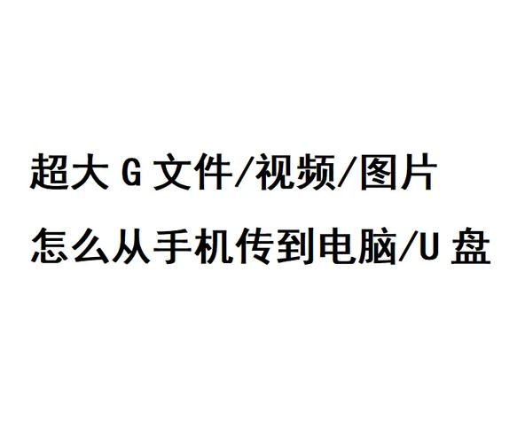 如何将视频下载到电脑里?这些步骤你一定要知道!