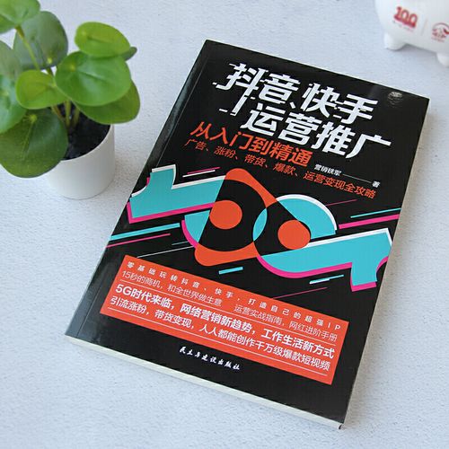 高效发卡系统解析，快手抖音秒杀系统优化指南