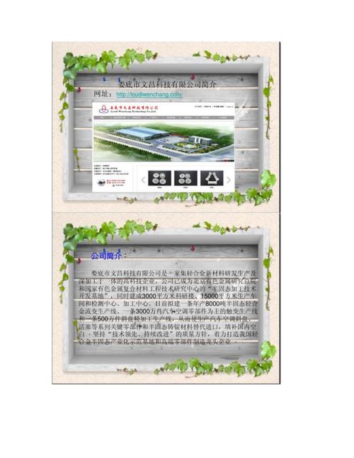 如何高效使用辽宁APP进行网络推广？指南与案例分析