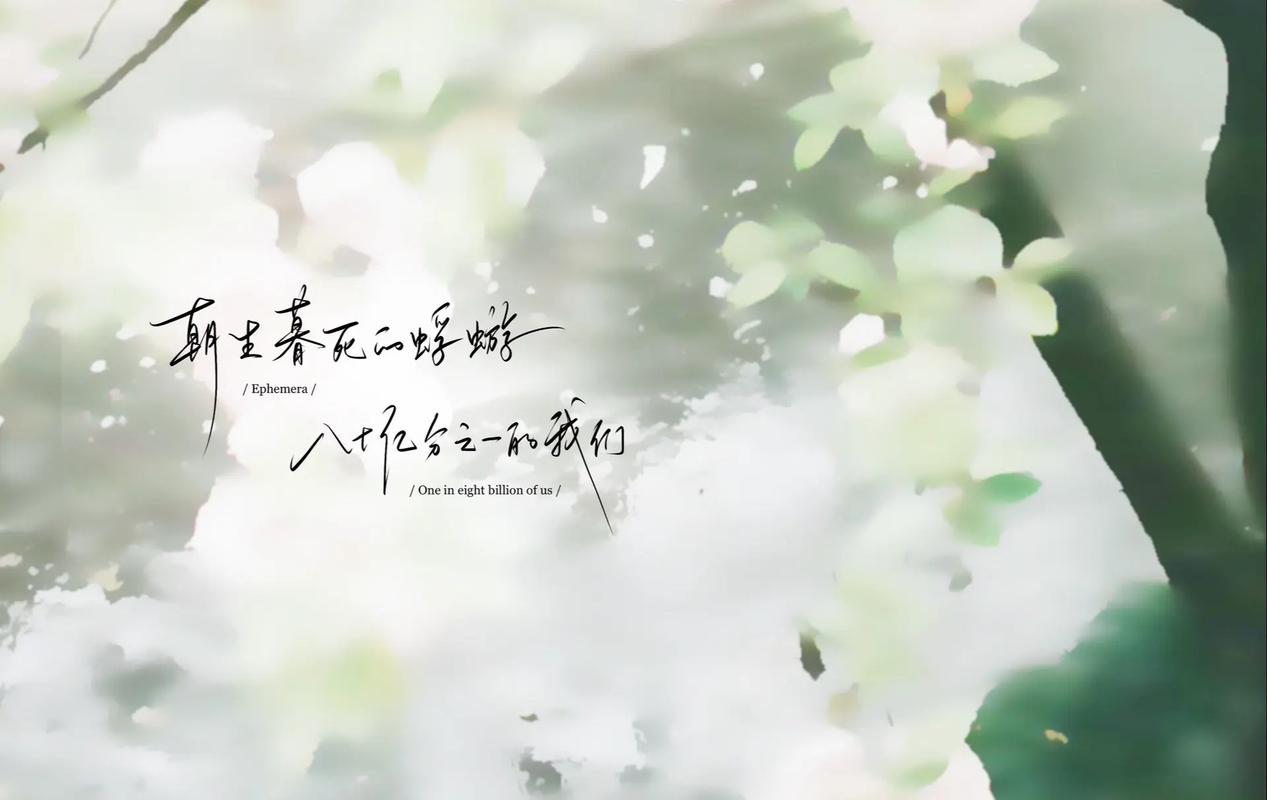 一、背景介绍
