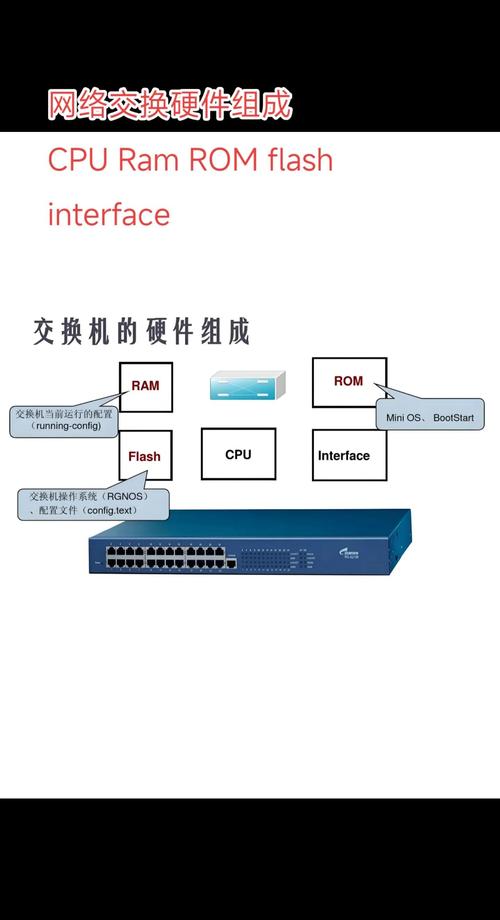制作网络信指南,从设备到效果的全解析