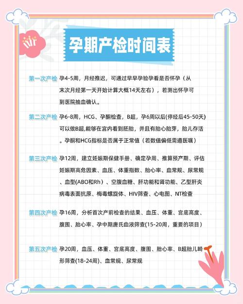 怀孕期间如何合理使用电脑,实用指南