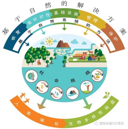 莱芜网络制作,机遇与挑战的双重应对之道