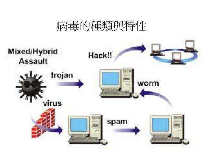 电脑病毒的种类及防护指南