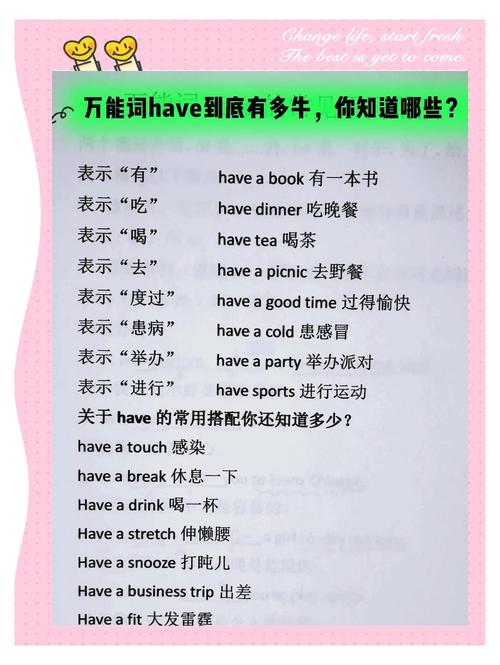 网络大水-have，解读与行动指南