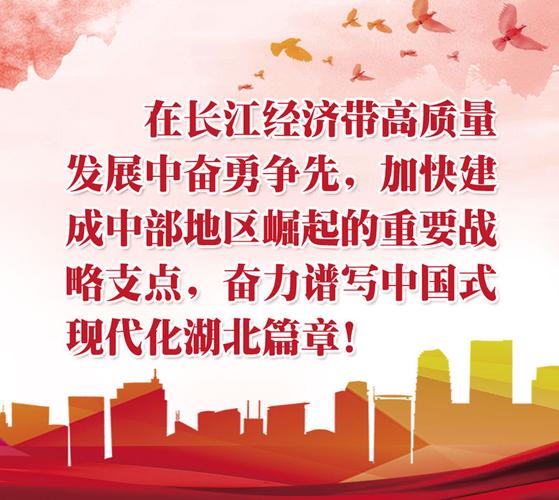 在宜昌,专业网站建设是企业崛起的必经之路