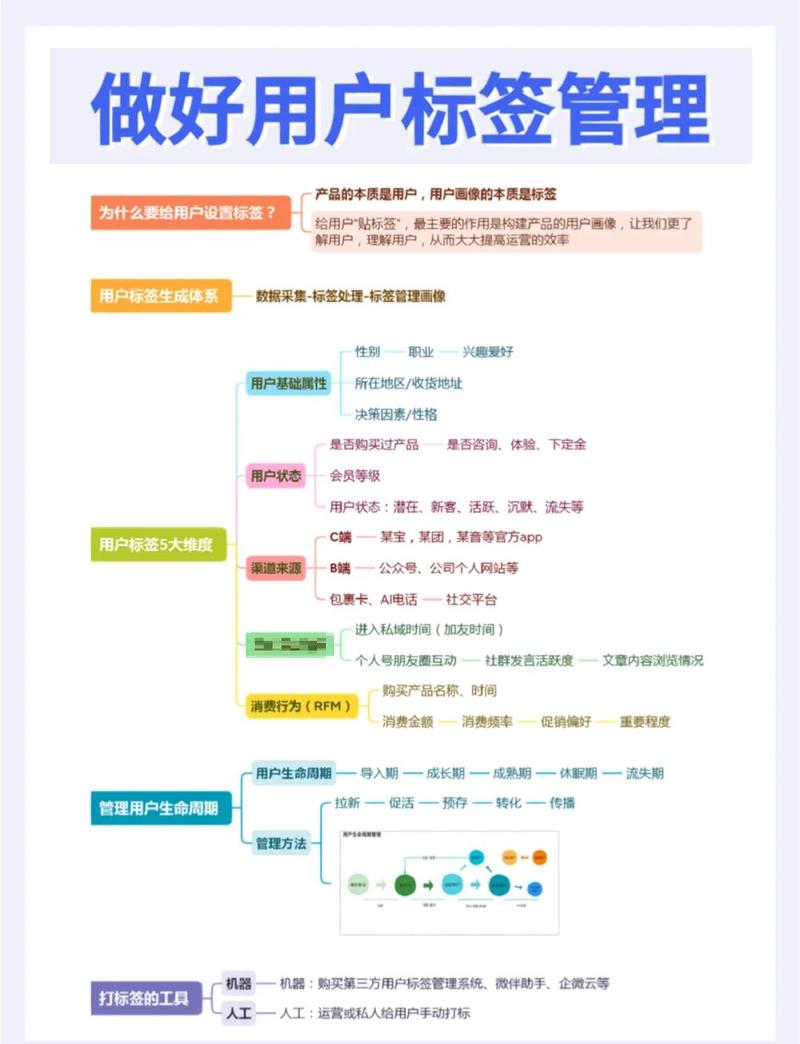 如何高效利用衡水网络推广技巧？助力精准营销