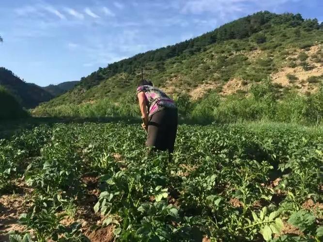 脱离城市喧嚣,了解阜康旅游攻略