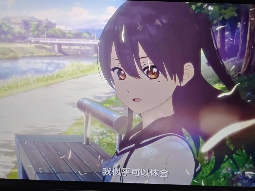 先生，让合肥成为数字时代的hello world！