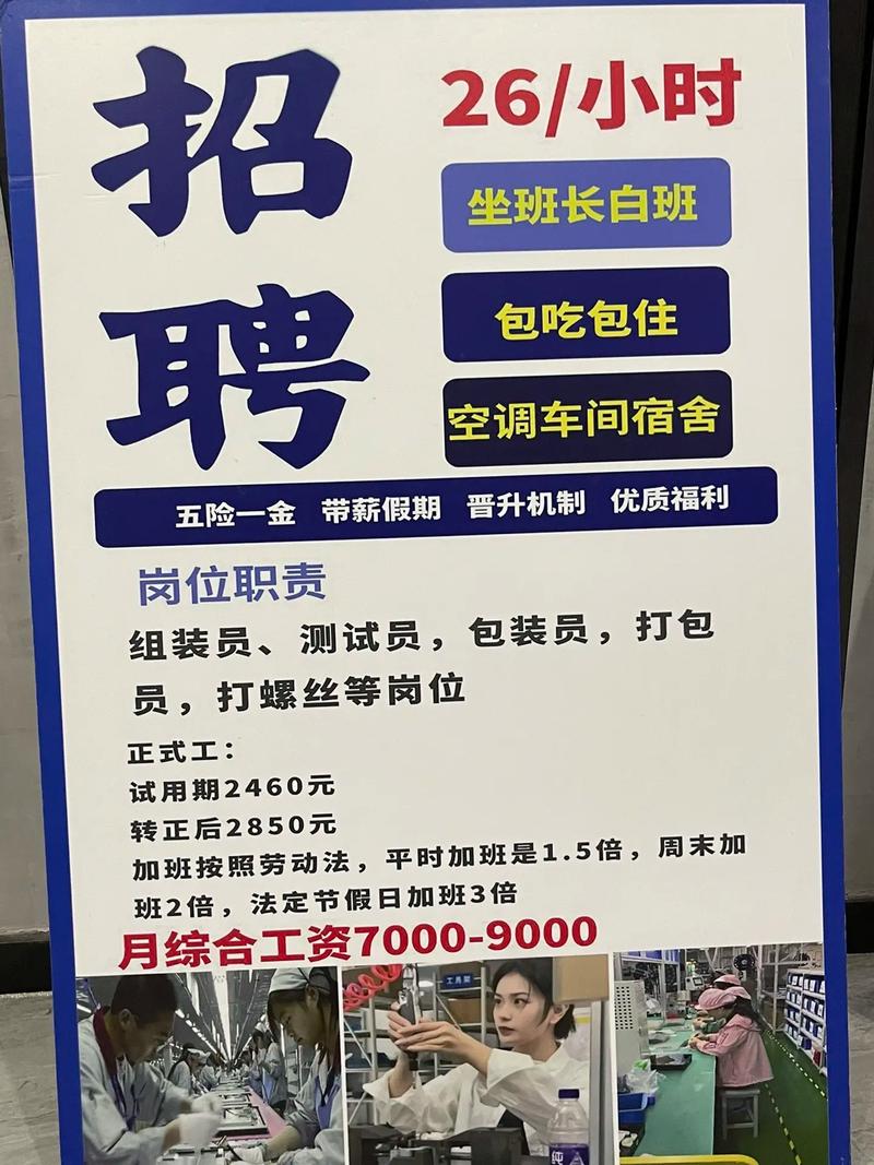 呼市网络外包公司招聘